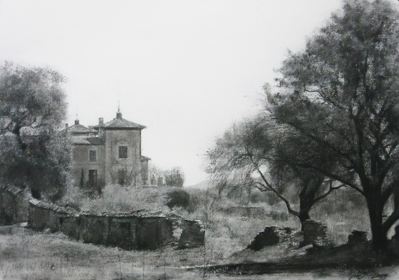 素描&唯美写实的素描,西班牙艺术家Miguel Angel Oyarbid笔下的树