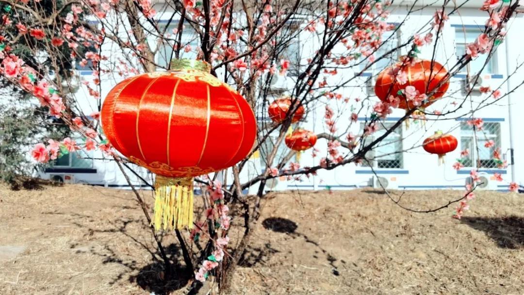 中年|北京海淀凤凰岭丨春节免费游园,助力“留京过年”!