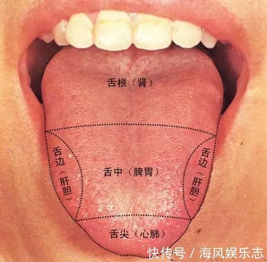 胃火|胃火、心火、肝火、肺火,人体这“4把火”怎么除1道食疗1把火