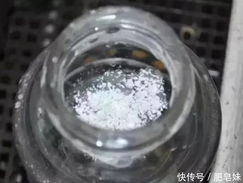 水培多肉|多肉还可水培?多肉土培转水培,快速生根方法全在这儿~