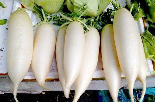 腹泻|秋冬吃白萝卜有好处,但4类人最好别凑热闹,看看你在其中吗?