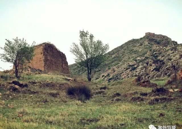  真的|马营马莲口的“流沙墓”真的被盗了吗？