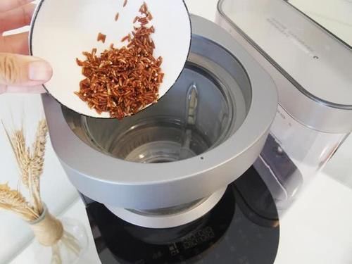  燕麦|适合老人喝的核桃糊，燕麦紫薯加核桃，淡淡清香很诱人