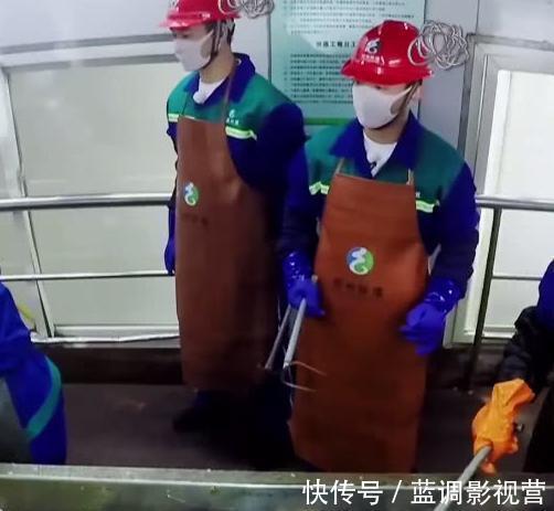 《跑男7》開播第一天，就被《中國共青團(tuán)》點(diǎn)名，網(wǎng)友：干的漂亮