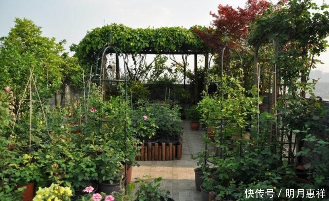 100㎡屋顶打造“花园露台”,网友直呼太壮观了,仿似人间仙境