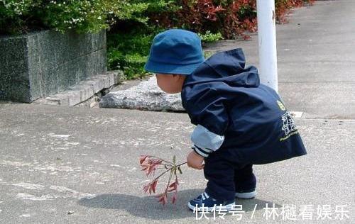 高智商|孩子从小有三个特征,说明智力发育好,长大后往往更容易高人一头