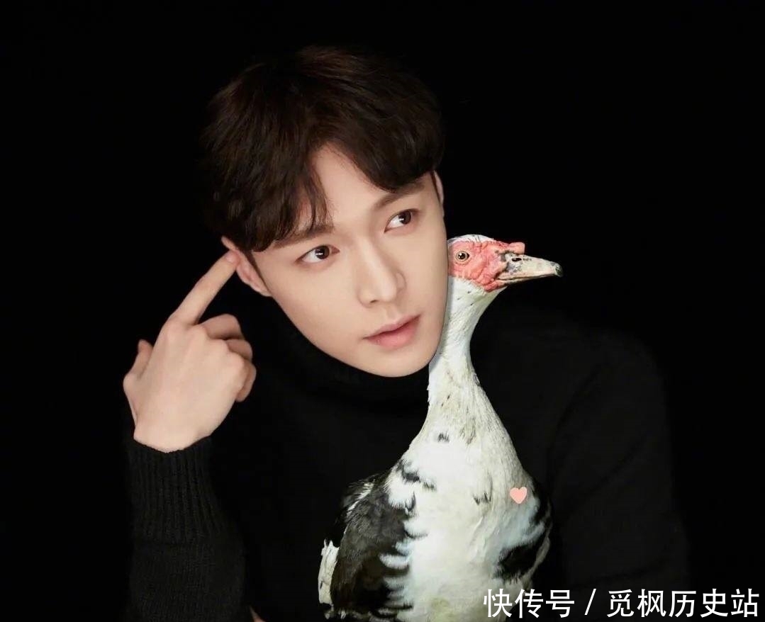 何老师 看张艺兴是如何一步一步被“骗”进鸡窝的?