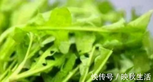 维生素b|会吃的人最健康,3种食物不能少,排毒养颜,提高免疫力!