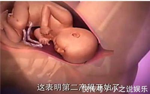 用力过猛|胎儿那么大,如何从那么小的产道出来看完知道女人有多伟大!