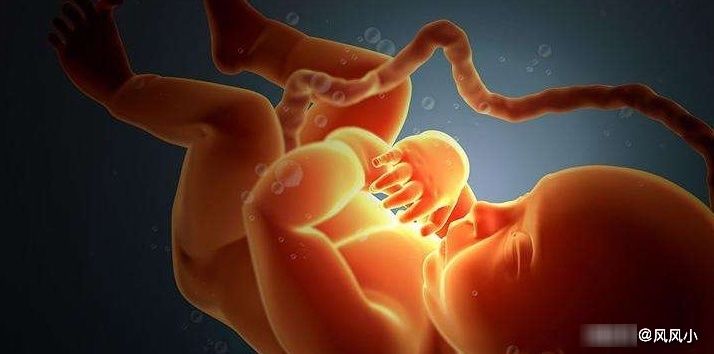 谣言|从“孕吐”可以看出宝宝性别？关于这几个谣言，你信了多少？