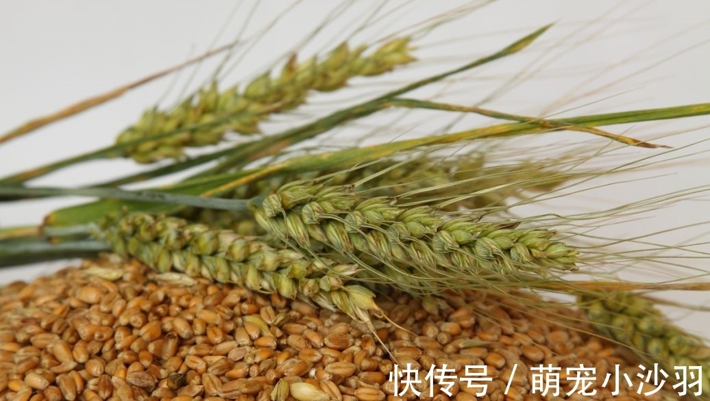 甲状腺激素|23岁女子，坚持3年饭后吃苹果，甲状腺病变，医生：无知害了她