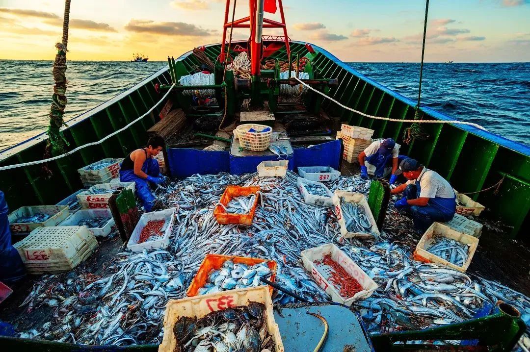 享顶级源头海鲜，食年味传统点心|象山年最新鲜② | 麦糕