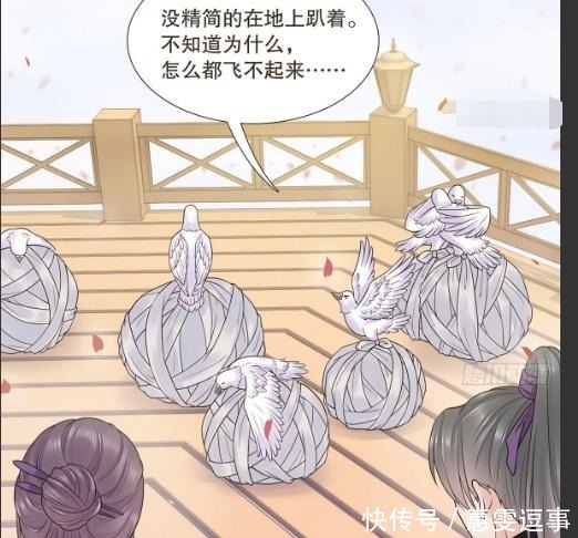 发号施令|代嫁丞相:诸葛军事小信鸽很命苦,手下犯错不处罚,有颜值撑着!