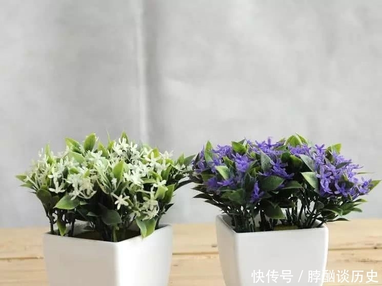 家里养这几种植物,又香又健康!