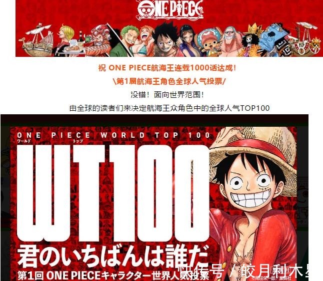 投票|海贼王全球角色人气投票开始了,前100名排行,路飞会夺冠吗