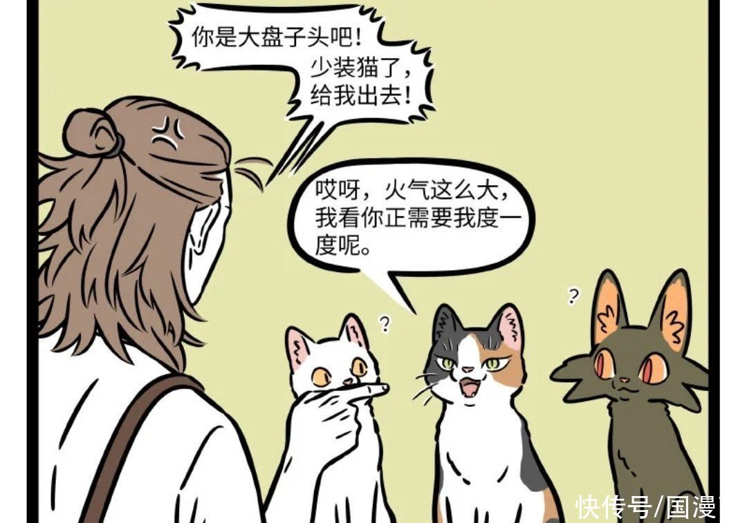 非人哉|非人哉：请善待身边的猫，可能是大士来度你，杨戬表示欲罢不能