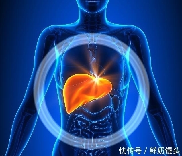 养肝护肝|肝不舒服，早上起床1小时，谨记5句话，坚持1个月，肝慢慢变好