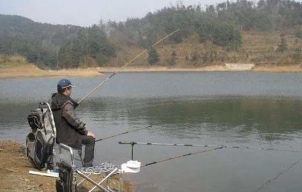 鲫鱼|钓了30年鲫鱼,才知道这窝料不用买,比酒米还好用!