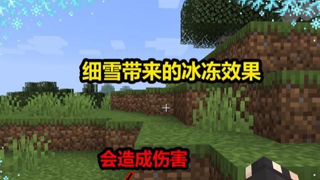 版本|我的世界：20w46a快照版本加入冰冻效果，皮革装备有了用武之地！