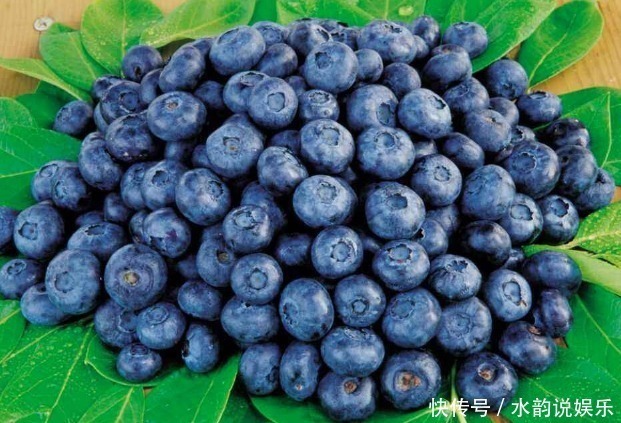 牛油果|在怀孕期,有4种食物孕妈要常买来吃,能减轻孕吐,有益宝宝视力