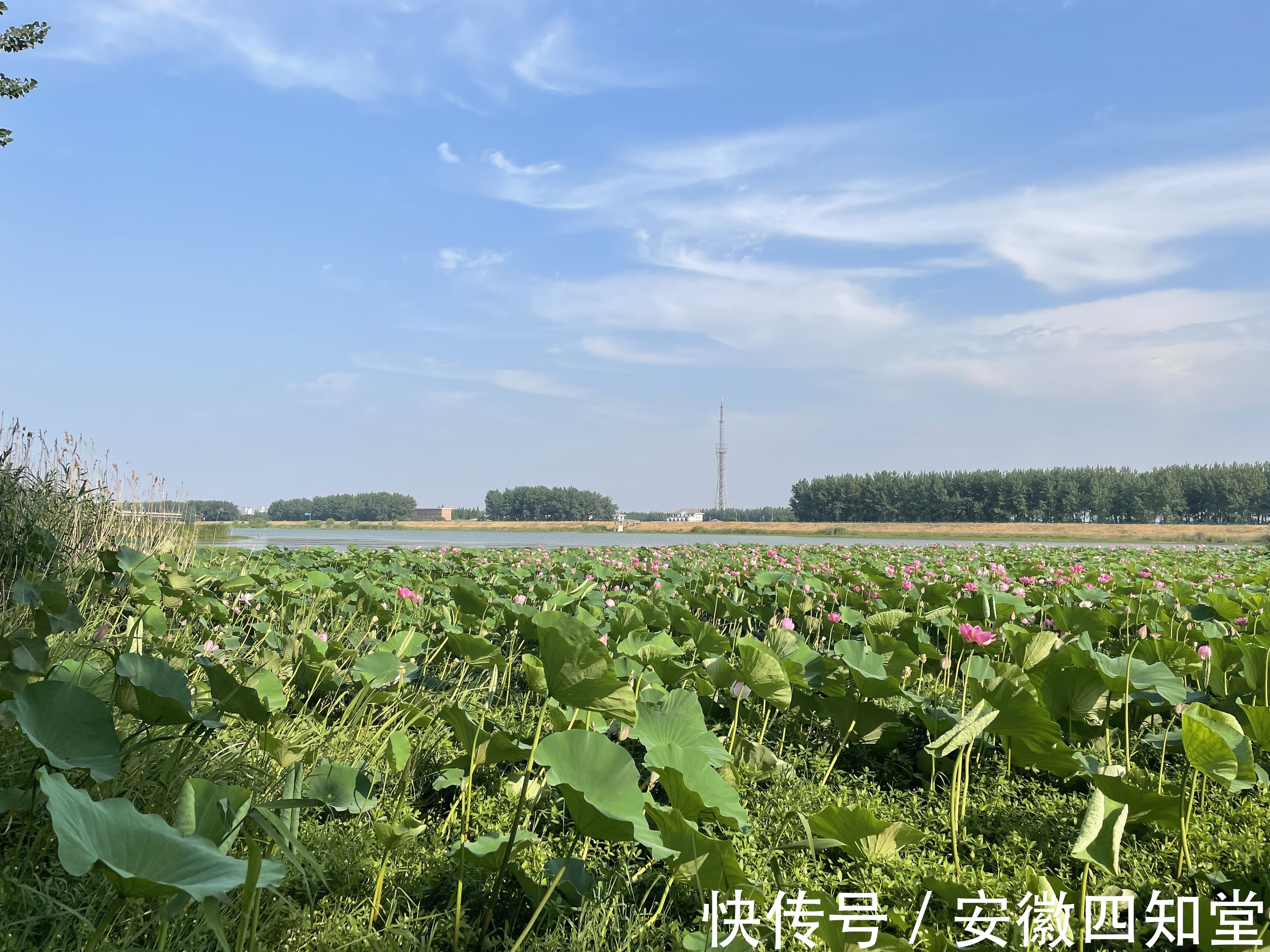 五河县#明代关于五河县诗词歌咏