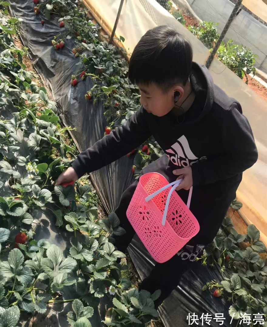 小棉袄|我的孩子在海亮丨海上灯塔,亮在我心