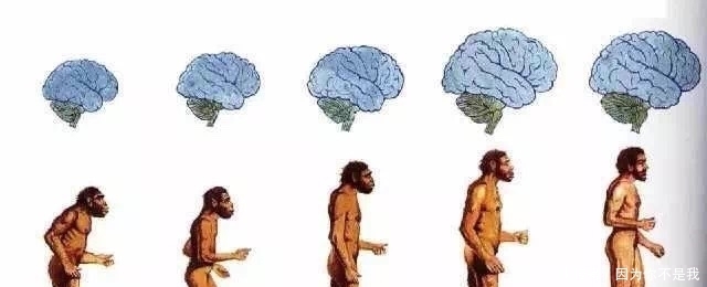 无线电 未解之谜:我们是地球上唯一的一批人类吗?