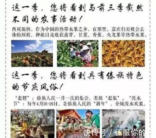 《向往的生活4》回归,原班人马没有变,请来的嘉宾个个都是大咖