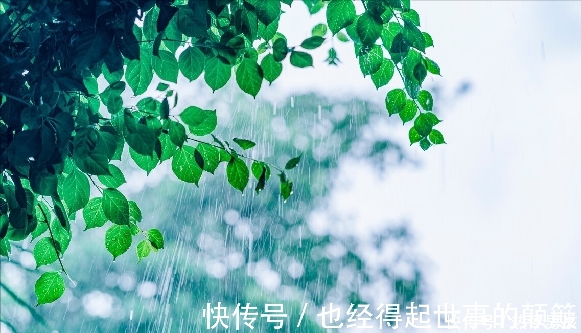 诚斋体！杨万里在小雨中写的一首诗，幽默风趣，把自然之美写得无以伦比