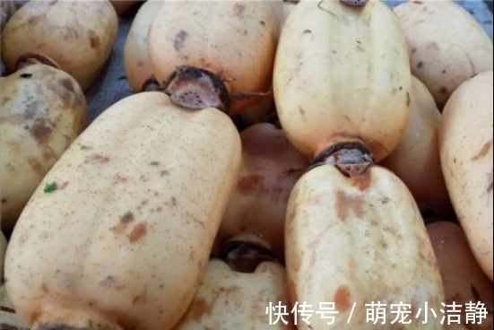 莲藕一焯水就变黑?大厨:牢记一招,保证藕片白净爽脆,更入味