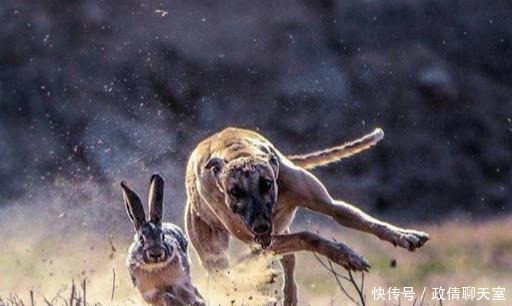 生死|诲人不倦的孔子和释迦牟尼,为何都避答道、鬼神、生死这类问题