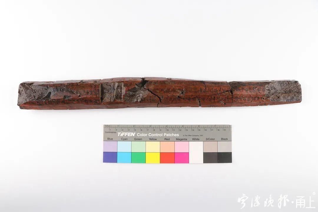  2号护岸|罕见！宁波又有重大发现！