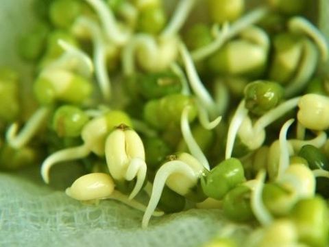 降脂果|血脂高的人，吃三种蔬菜水果，清血管降血脂