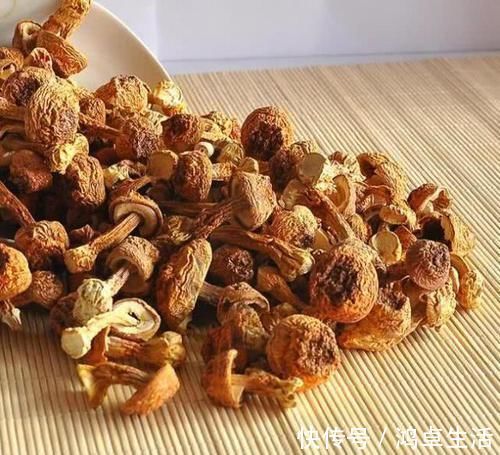 巴西菇|血液垃圾的“天敌”找到了，40岁以后可劲吃，血管一天比一天好