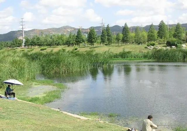 这5点没做好,上钩的鱼也得跑!看看自己犯了几条!