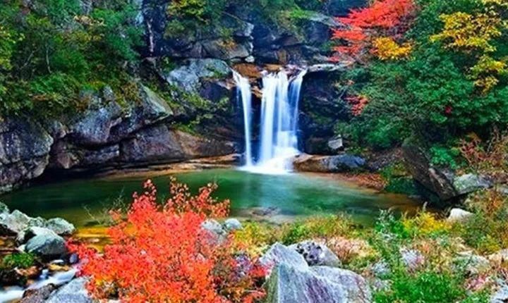 版本|经典名曲《红河谷》最美版本,百听不厌 !