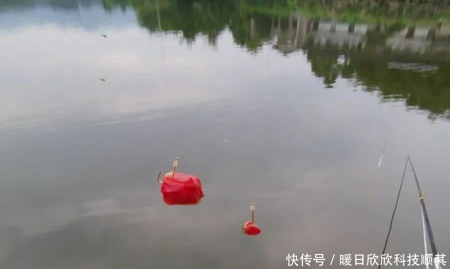 钩型|玉米如何挂钩命中率更高?挂钩方法并不重要,鱼钩才是重点!