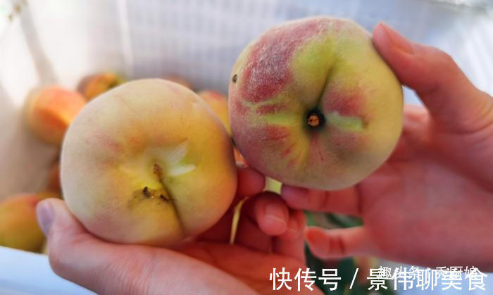 桃子|买桃子时，就挑“公”的，肉多核小汁水多，教你6招，一挑一个准