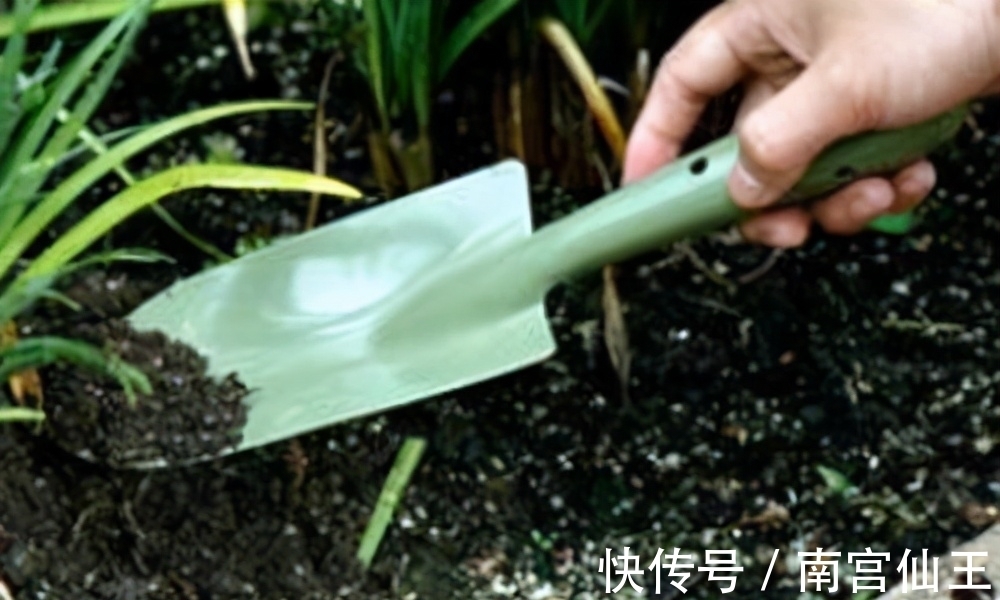 低气温养花，这“3少1多”要注意，否则盆栽熬不过冬天