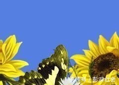 人心!良言20句,见证人心,看透人性看一次胜读十年书