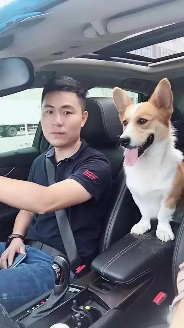 上海宠物运输