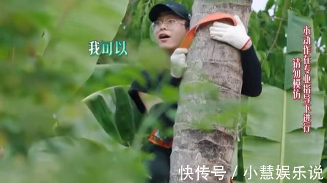 薇婭|《向往》中情商最低的嘉賓何炅和黃磊都帶不動(dòng)，大寫的尷尬