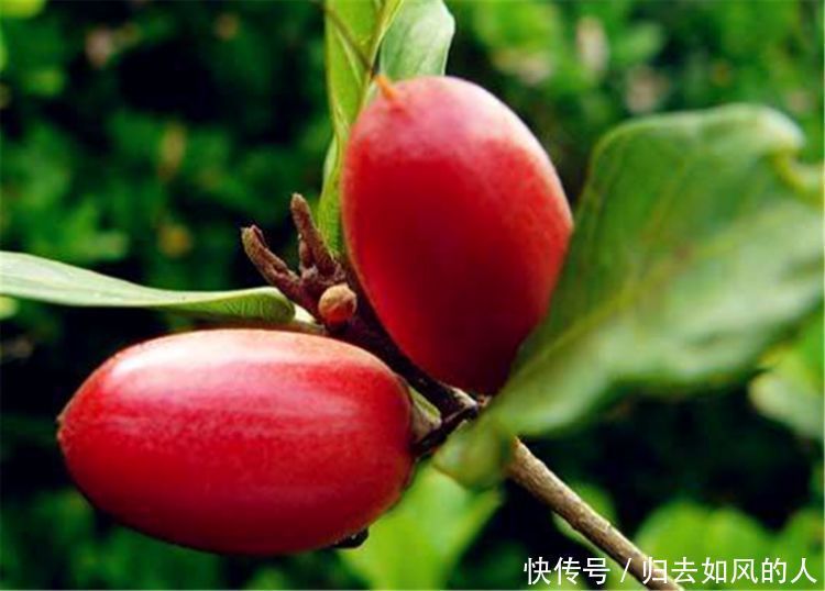 女性养生,适合常吃三种食物,排毒降火,降压减脂,清理体内垃圾