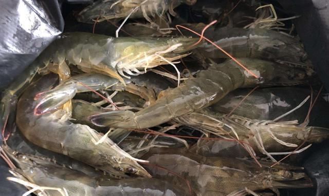 买虾时,不管价格高低,看到这4种都不能要,健康第一,别买错
