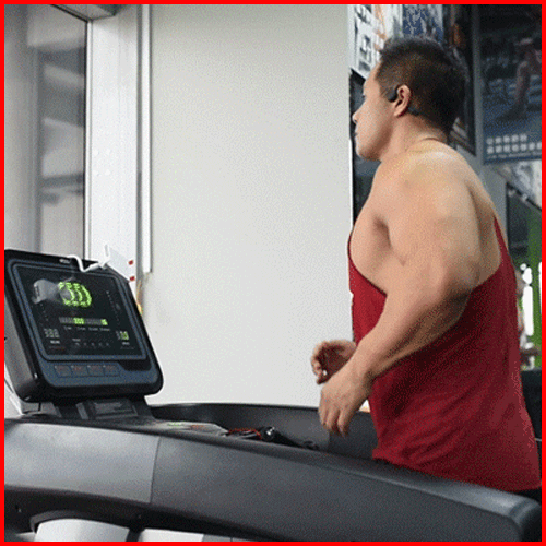 蝴蝶机|健身房训练时间话长短