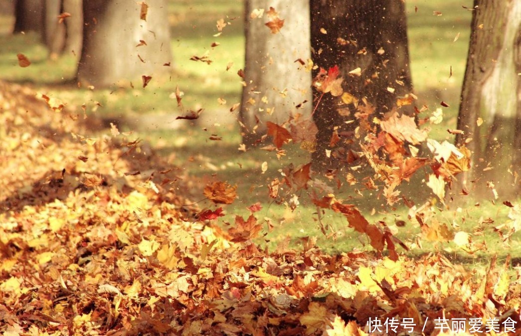 特征|有这些“特征”的人不适合养花,一般养一盆死一盆