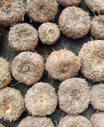 减脂|“越吃越瘦”的7大食物排行榜,第一名竟然比肉还好吃