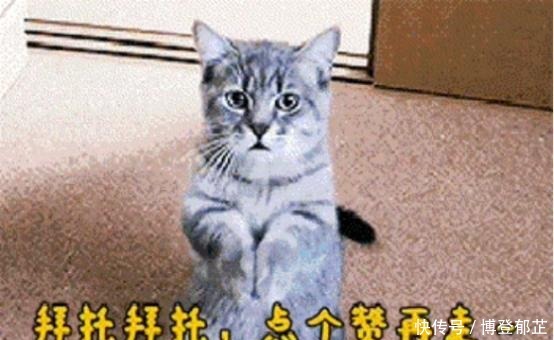 不好|搞笑漫画:洗发水不好用就以身相许,小伙的机会来了?!