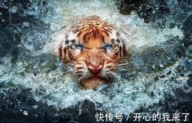 |【被窝段子20220127】人生从哭声开始在泪水里结束,这中间叫做幸福