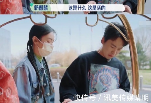 寧靜|《中餐廳5》首播烏龍不斷,寧靜嘴瓢穿幫,撒謊被前男友情史打臉